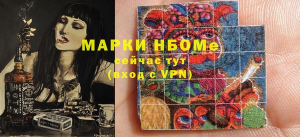ПСИЛОЦИБИНОВЫЕ ГРИБЫ Гусь-Хрустальный