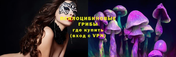 круглые Гусев