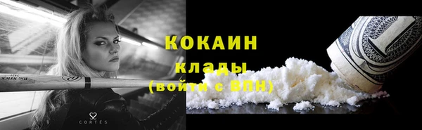 круглые Гусев