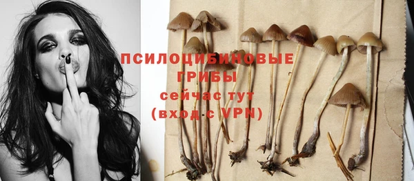 тгк Гусиноозёрск