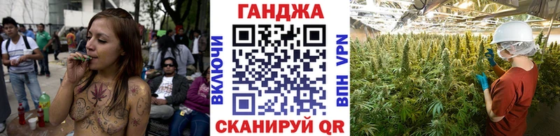 Каннабис планчик  где найти   ОМГ ОМГ сайт  Новосибирск 